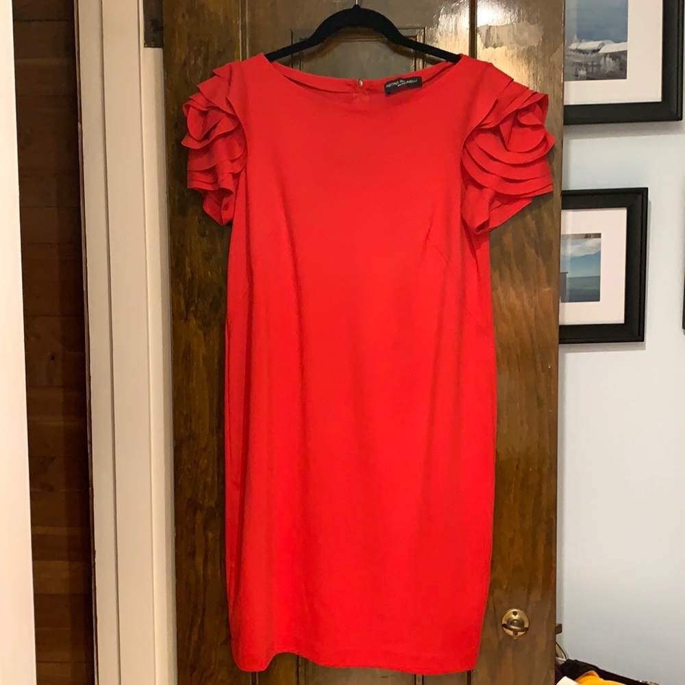 Pietro Brunelli red rose sleeve maternity dress